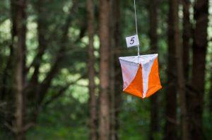 The orienteering flag in the Lithuanian forest