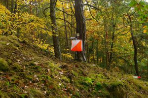 1280px-orienteering